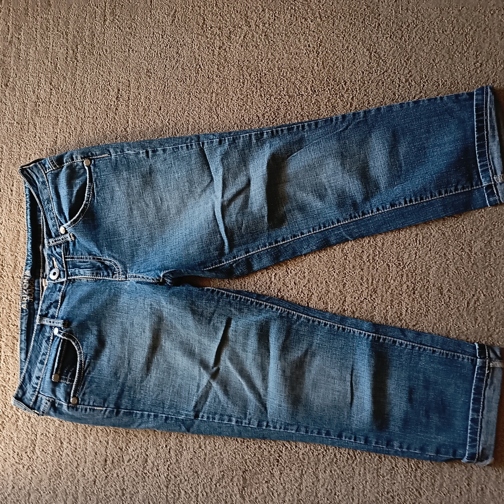 Arizona Jean Company Women's Dark Blue Ankle Jeans
